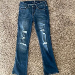 hollister lowrise flare jeans